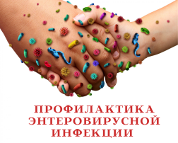 Профилактика энтеровирусной инфекции Профилактика энтеровирусной инфекции.