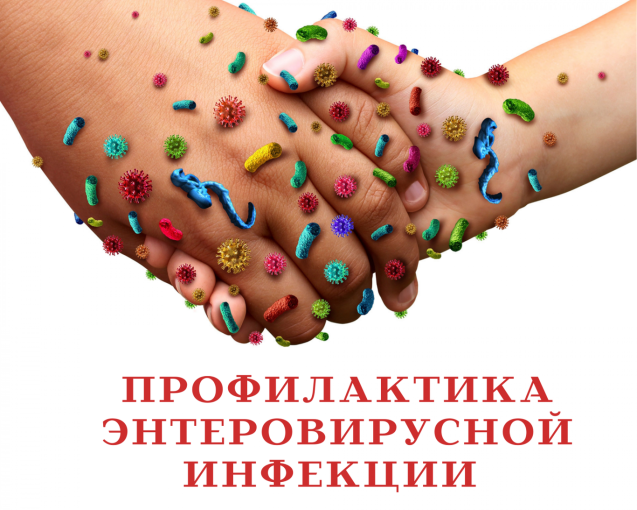Профилактика энтеровирусной инфекции Профилактика энтеровирусной инфекции.